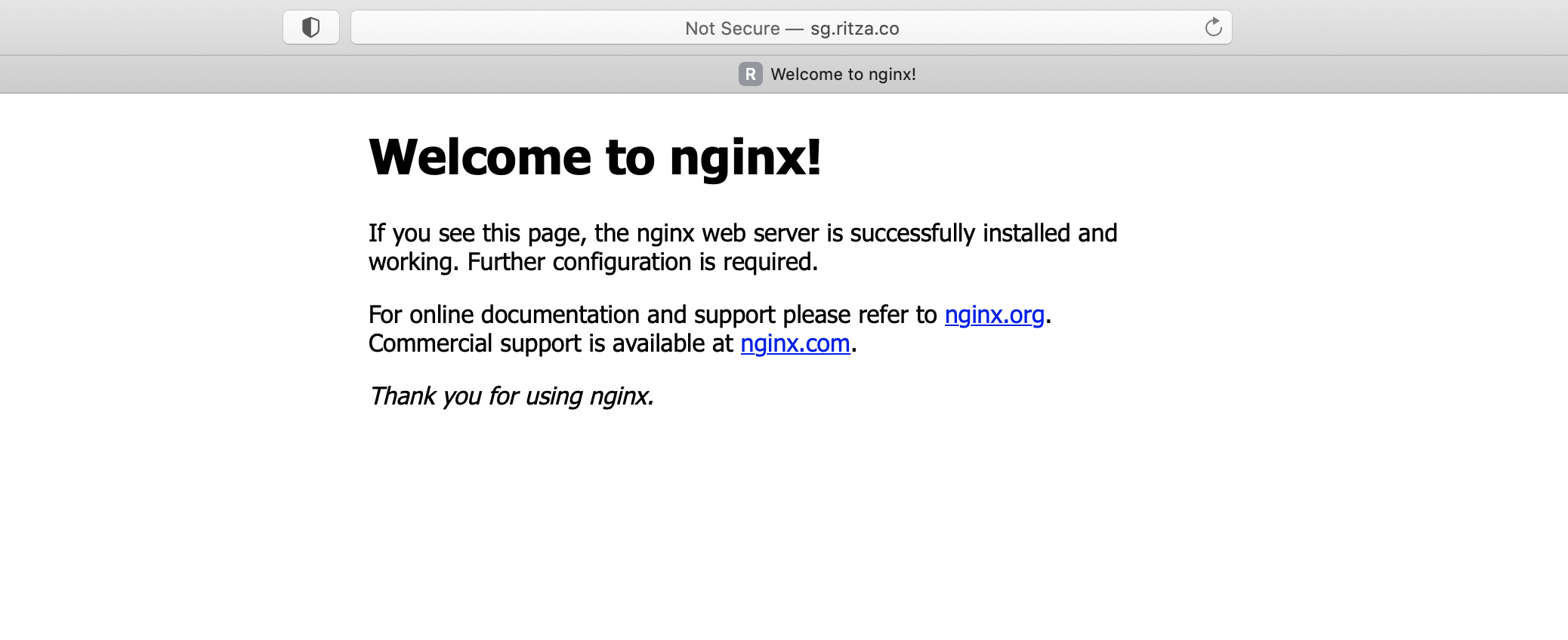 Default Nginx Page
